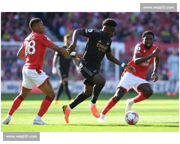 英超精彩赛事全程直播 热门球队对决即刻开启 - 副本 (3)